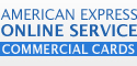 AMERICAN EXPRESS ONLINE SERVICE